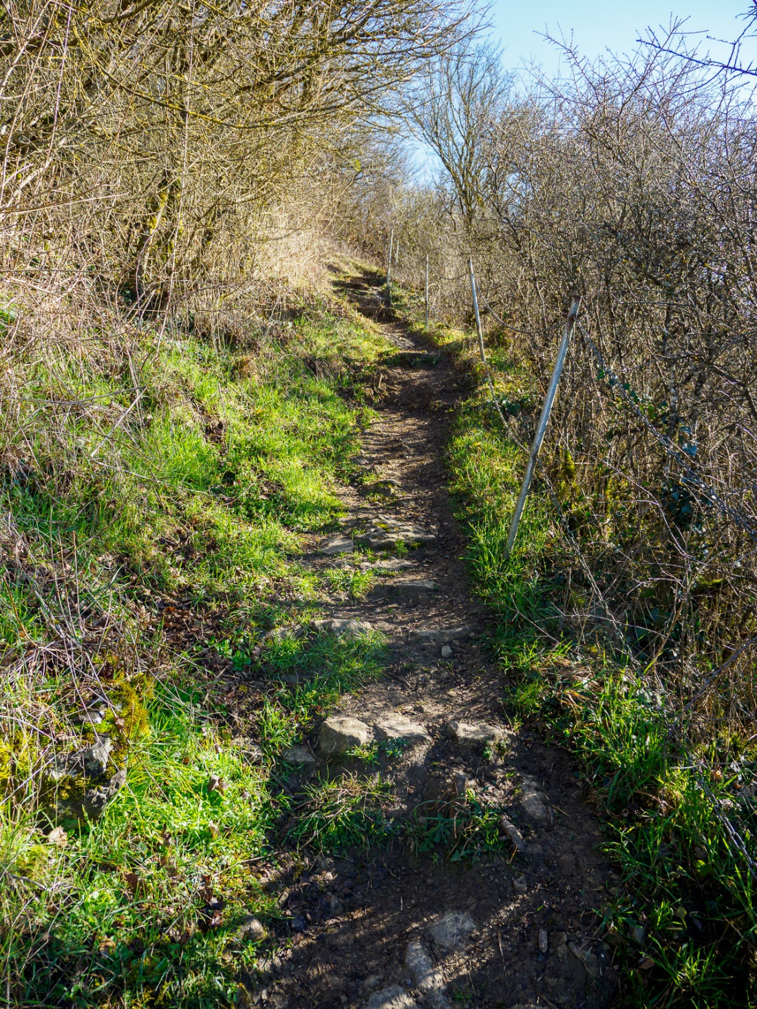 Klicke auf die Grafik für eine vergrößerte Ansicht

Name: dataurl134620.jpg
Ansichten: 53
Größe: 1,10 MB
ID: 3360512