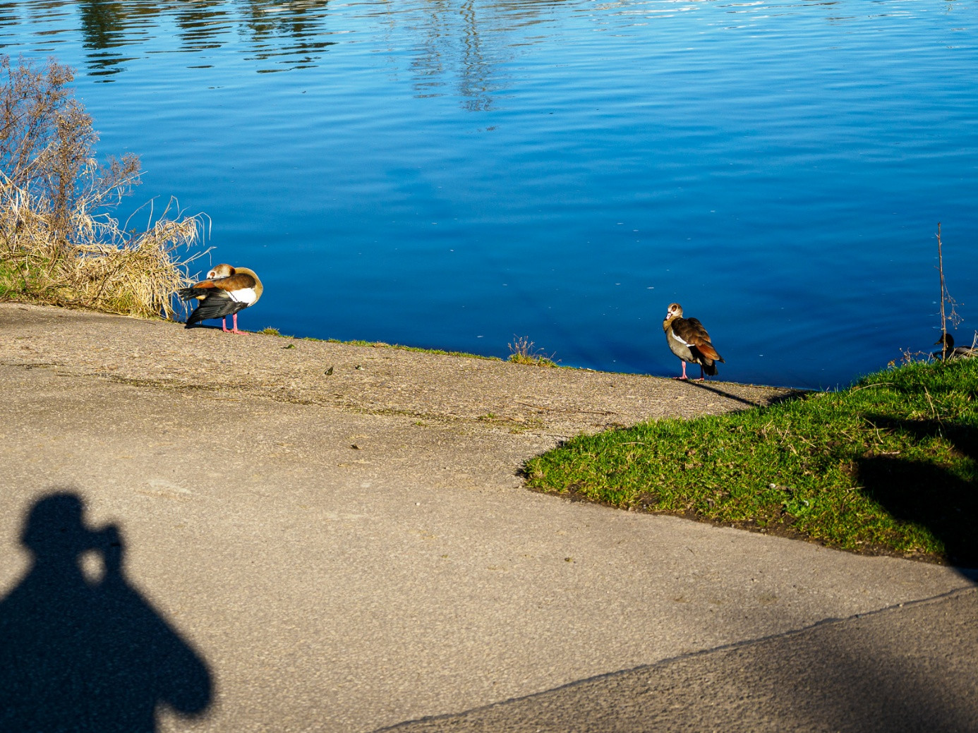 Klicke auf die Grafik für eine vergrößerte Ansicht

Name: dataurl134623.jpg
Ansichten: 54
Größe: 543,9 KB
ID: 3360513