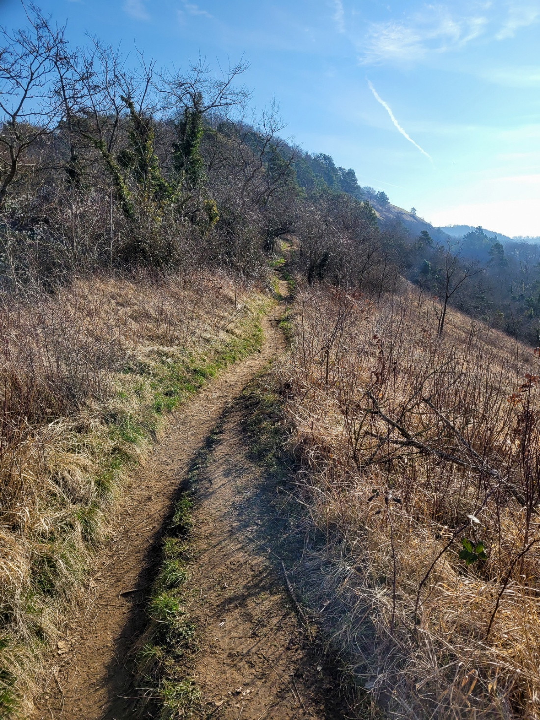 Klicke auf die Grafik für eine vergrößerte Ansicht  Name: dataurl993101.jpg Ansichten: 0 Größe: 824,3 KB ID: 3360722