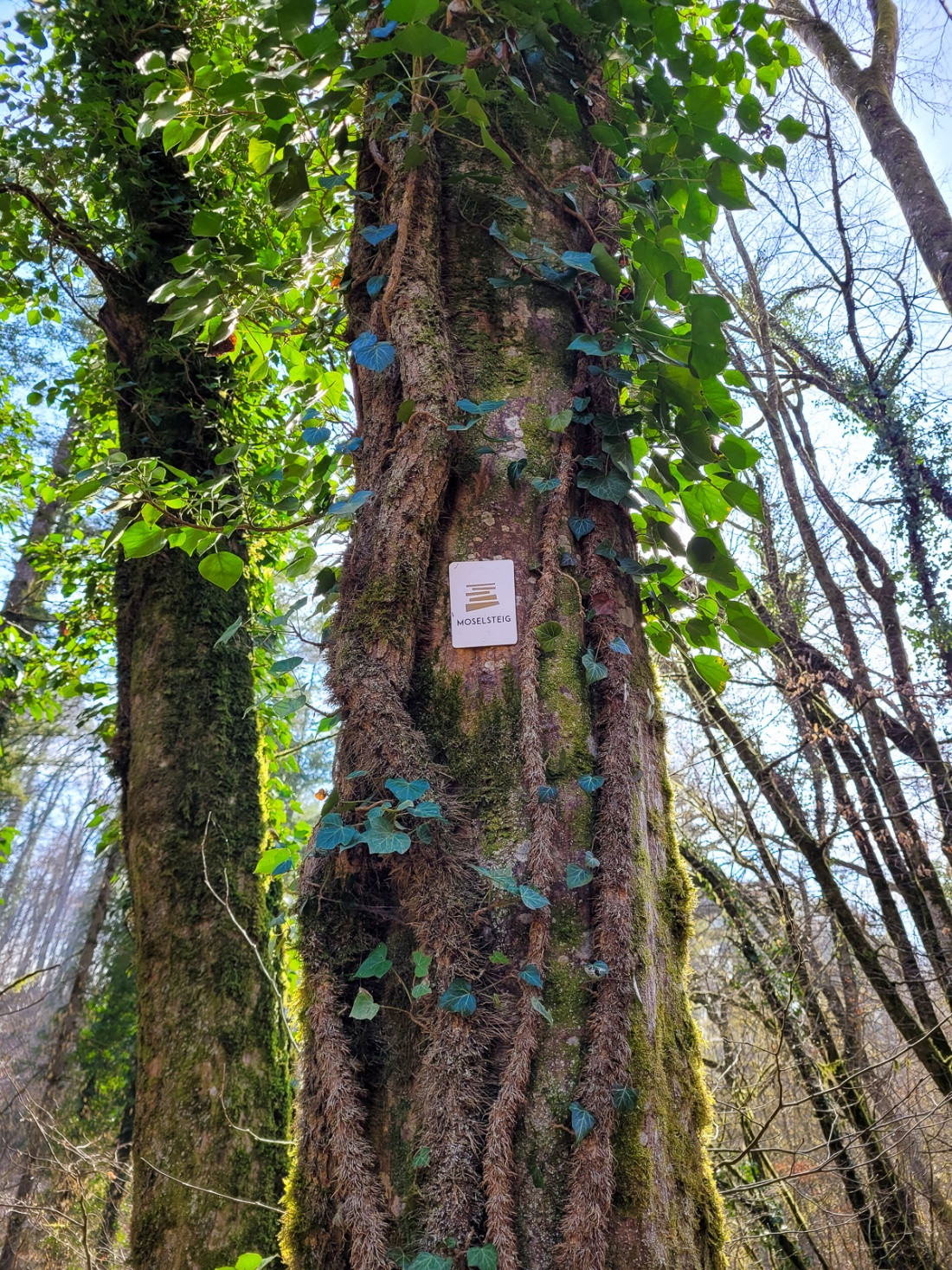 Klicke auf die Grafik für eine vergrößerte Ansicht  Name: dataurl993104.jpg Ansichten: 0 Größe: 924,6 KB ID: 3360726