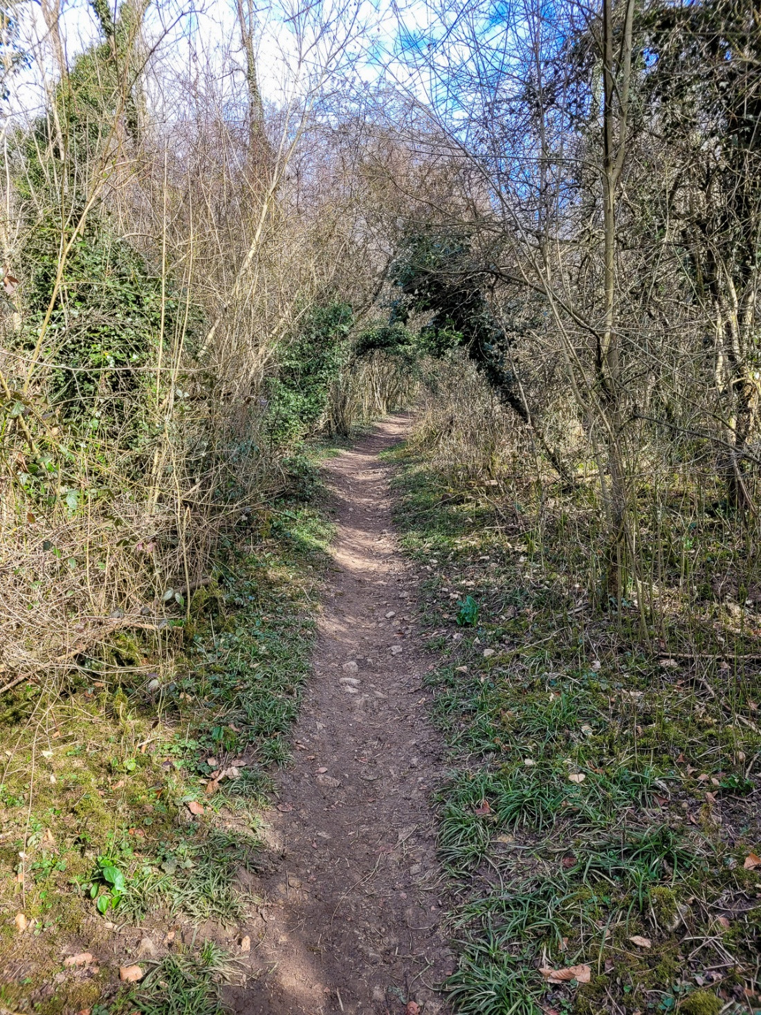 Klicke auf die Grafik für eine vergrößerte Ansicht  Name: dataurl993103.jpg Ansichten: 0 Größe: 1,02 MB ID: 3360727