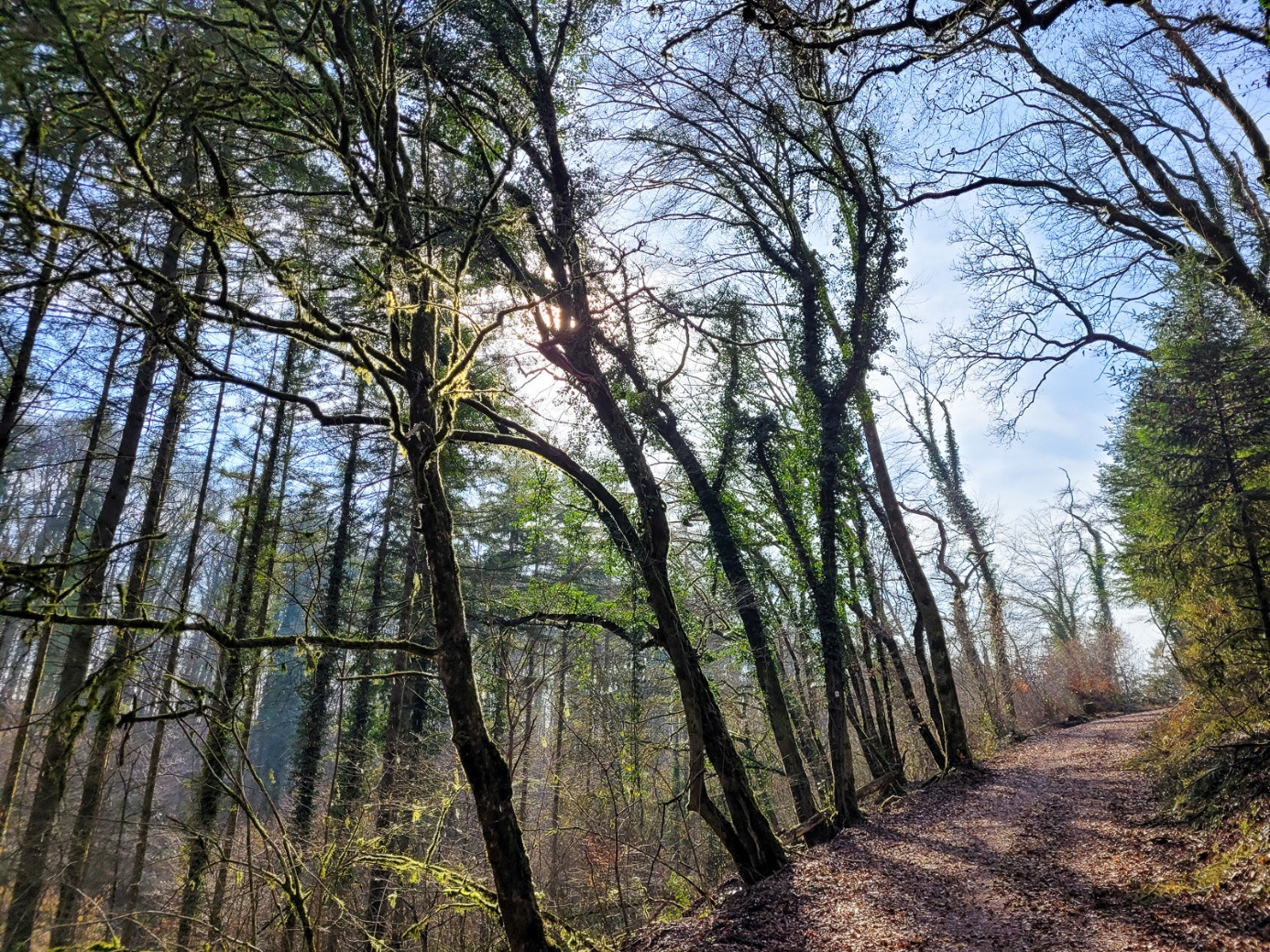 Klicke auf die Grafik für eine vergrößerte Ansicht  Name: dataurl993105.jpg Ansichten: 0 Größe: 893,6 KB ID: 3360728