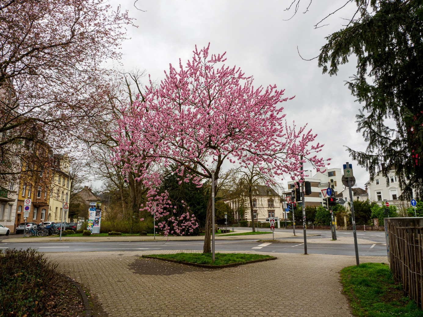 Klicke auf die Grafik für eine vergrößerte Ansicht  Name: dataurl629476.jpg Ansichten: 0 Größe: 756,4 KB ID: 3360736