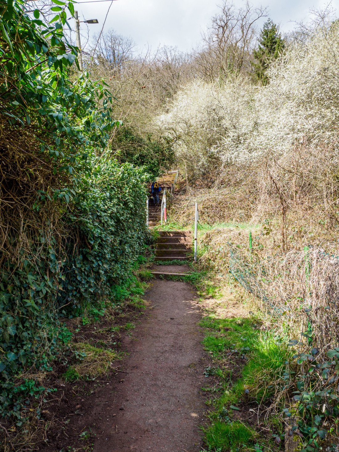 Klicke auf die Grafik für eine vergrößerte Ansicht  Name: dataurl629487.jpg Ansichten: 0 Größe: 975,9 KB ID: 3360749