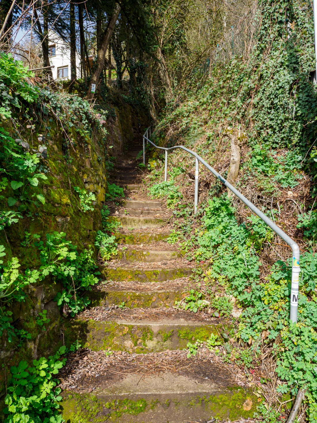 Klicke auf die Grafik für eine vergrößerte Ansicht  Name: dataurl629487.jpg Ansichten: 0 Größe: 1,06 MB ID: 3360750