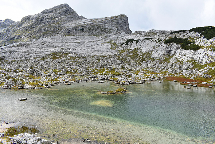 Klicke auf die Grafik für eine vergrößerte Ansicht

Name: DSC_0288.jpg
Ansichten: 26
Größe: 1,14 MB
ID: 3360947