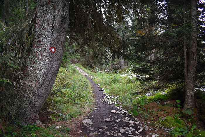 Klicke auf die Grafik für eine vergrößerte Ansicht

Name: DSC_0262.jpg
Ansichten: 26
Größe: 1,16 MB
ID: 3360950