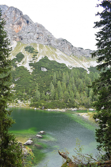 Klicke auf die Grafik für eine vergrößerte Ansicht

Name: DSC_0263.jpg
Ansichten: 26
Größe: 757,5 KB
ID: 3360951