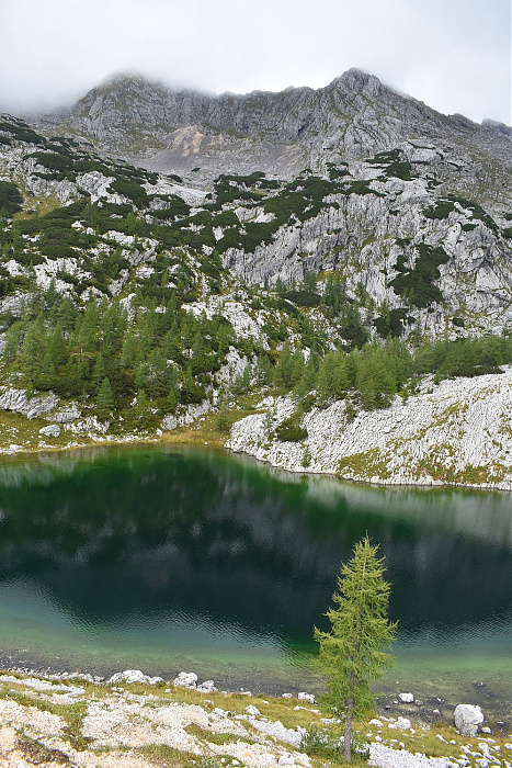 Klicke auf die Grafik für eine vergrößerte Ansicht

Name: DSC_0274.jpg
Ansichten: 26
Größe: 677,1 KB
ID: 3360952