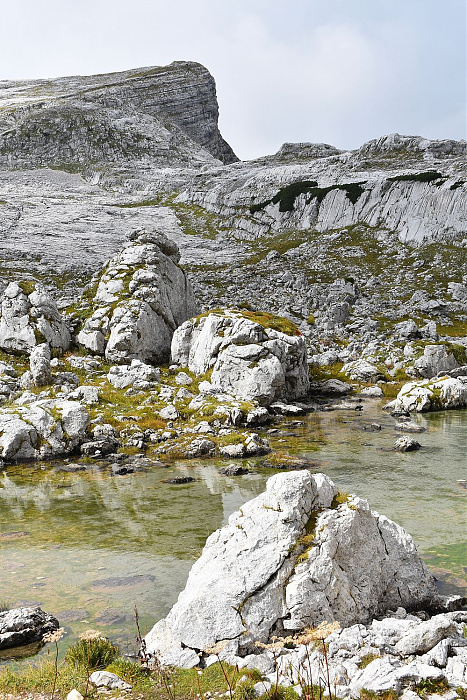 Klicke auf die Grafik für eine vergrößerte Ansicht

Name: DSC_0286.jpg
Ansichten: 26
Größe: 842,1 KB
ID: 3360953