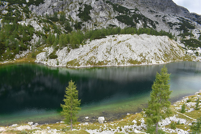 Klicke auf die Grafik für eine vergrößerte Ansicht

Name: DSC_0272.jpg
Ansichten: 26
Größe: 1,08 MB
ID: 3360954