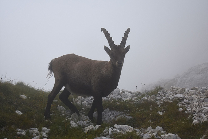 Klicke auf die Grafik für eine vergrößerte Ansicht

Name: DSC_0313.jpg
Ansichten: 26
Größe: 411,7 KB
ID: 3360960