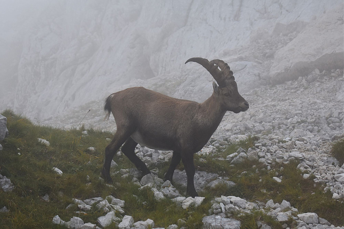 Klicke auf die Grafik für eine vergrößerte Ansicht

Name: DSC_0312.jpg
Ansichten: 26
Größe: 538,4 KB
ID: 3360963