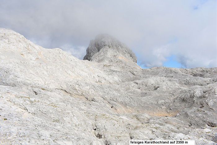 Klicke auf die Grafik für eine vergrößerte Ansicht

Name: DSC_0296.jpg
Ansichten: 26
Größe: 838,5 KB
ID: 3360964