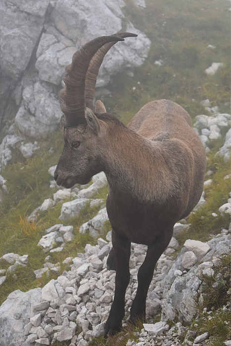 Klicke auf die Grafik für eine vergrößerte Ansicht

Name: DSC_0314.jpg
Ansichten: 26
Größe: 341,6 KB
ID: 3360965