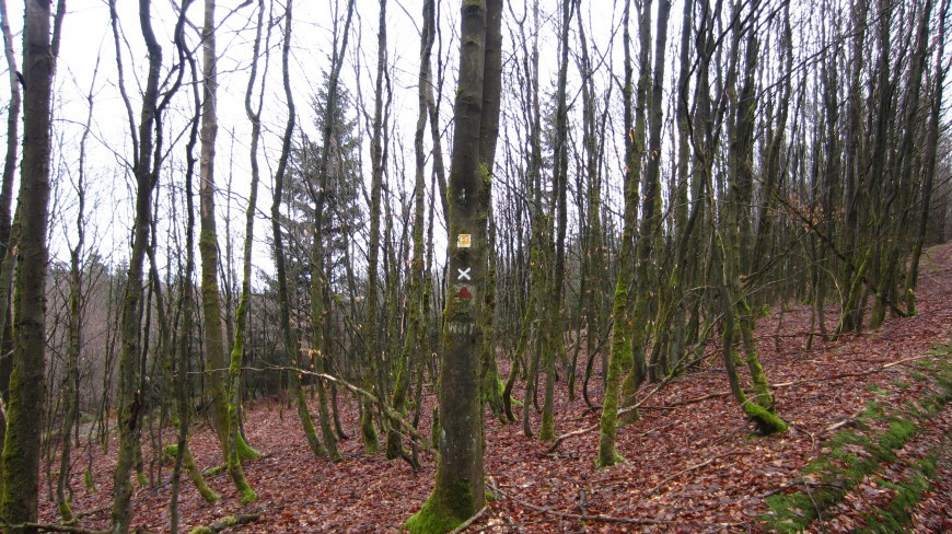 Klicke auf die Grafik für eine vergrößerte Ansicht

Name: IMG_35812.jpg
Ansichten: 39
Größe: 232,7 KB
ID: 3361059