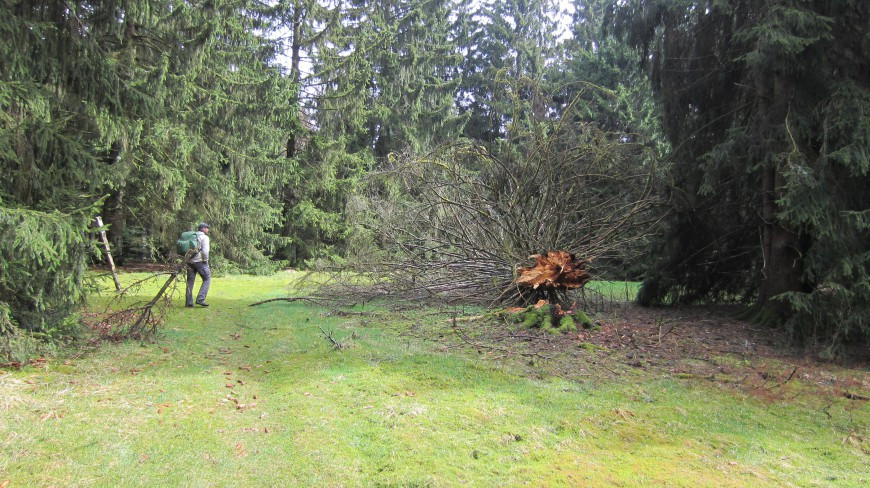 Klicke auf die Grafik für eine vergrößerte Ansicht

Name: IMG_35922.jpg
Ansichten: 37
Größe: 215,8 KB
ID: 3361061