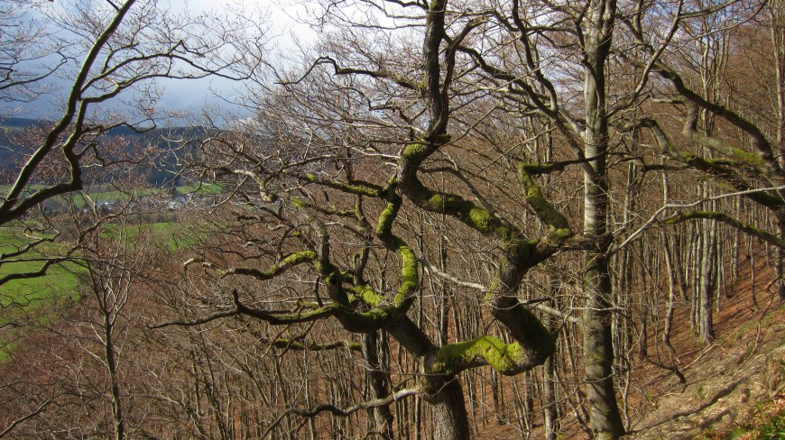 Klicke auf die Grafik für eine vergrößerte Ansicht

Name: IMG_36183.jpg
Ansichten: 37
Größe: 248,1 KB
ID: 3361065