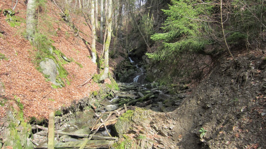 Klicke auf die Grafik für eine vergrößerte Ansicht  Name: IMG_36362.jpg Ansichten: 0 Größe: 243,3 KB ID: 3361069