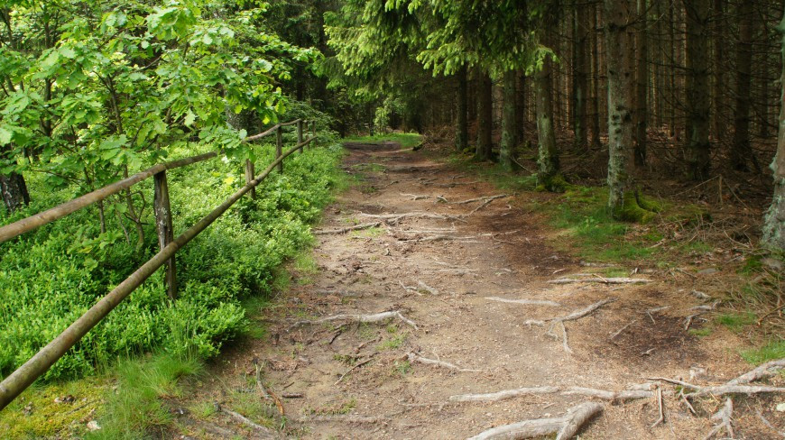 Klicke auf die Grafik für eine vergrößerte Ansicht  Name: 3156.jpg Ansichten: 0 Größe: 235,0 KB ID: 3361073