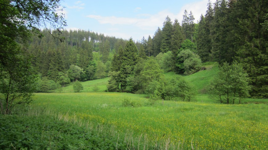 Klicke auf die Grafik für eine vergrößerte Ansicht  Name: 659.jpg Ansichten: 0 Größe: 166,8 KB ID: 3361076