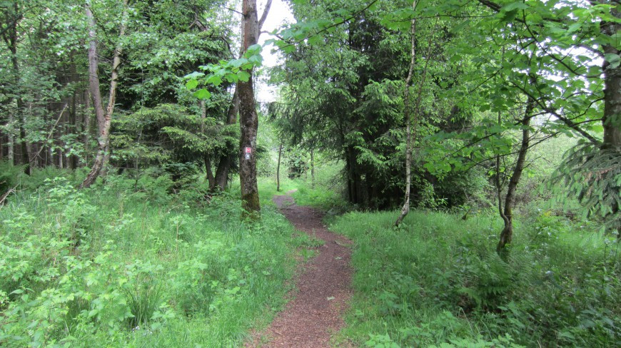 Klicke auf die Grafik für eine vergrößerte Ansicht  Name: 9_1.jpg Ansichten: 0 Größe: 234,8 KB ID: 3361077