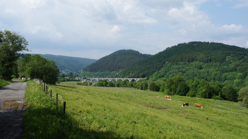 Klicke auf die Grafik für eine vergrößerte Ansicht  Name: 1299.jpg Ansichten: 0 Größe: 129,6 KB ID: 3361081