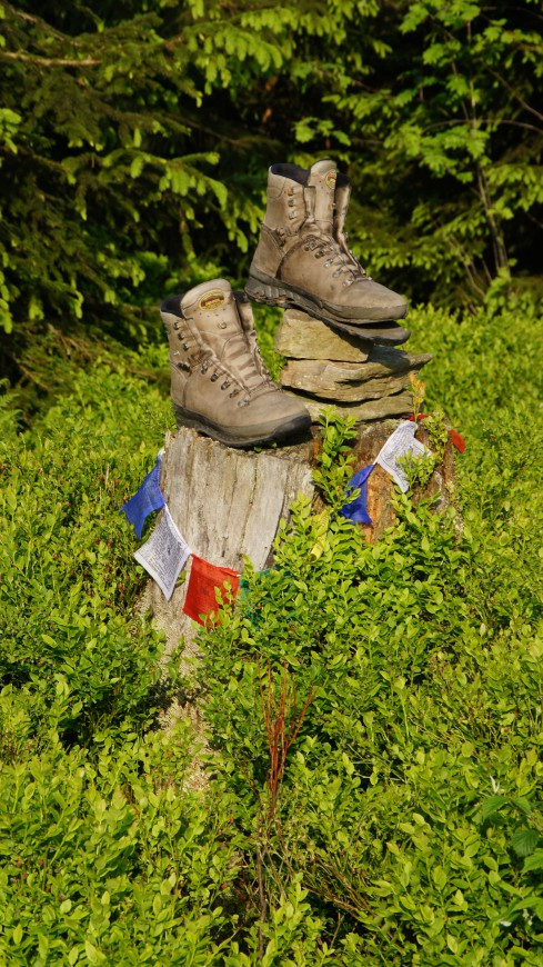 Klicke auf die Grafik für eine vergrößerte Ansicht

Name: 2329.jpg
Ansichten: 32
Größe: 250,6 KB
ID: 3361089