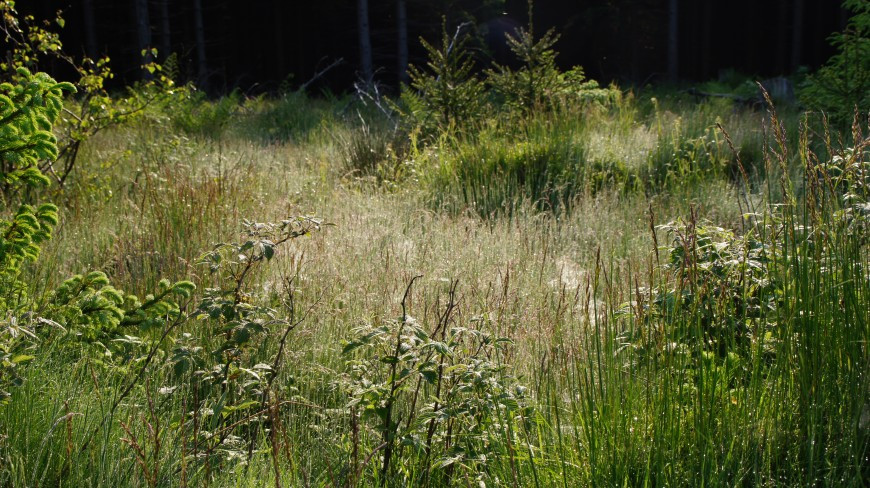 Klicke auf die Grafik für eine vergrößerte Ansicht

Name: 2423.jpg
Ansichten: 33
Größe: 222,5 KB
ID: 3361091