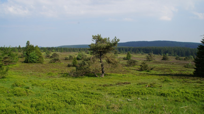 Klicke auf die Grafik für eine vergrößerte Ansicht

Name: 2917.jpg
Ansichten: 33
Größe: 137,5 KB
ID: 3361095