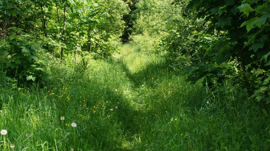 Klicke auf die Grafik für eine vergrößerte Ansicht

Name: 3314.jpg
Ansichten: 34
Größe: 239,2 KB
ID: 3361099