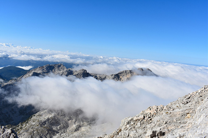 Klicke auf die Grafik für eine vergrößerte Ansicht

Name: DSC_0331.jpg
Ansichten: 0
Größe: 543,7 KB
ID: 3361113