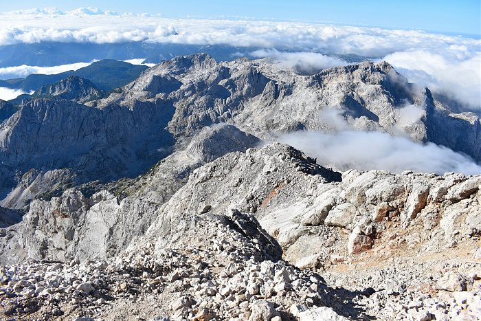 Klicke auf die Grafik für eine vergrößerte Ansicht

Name: DSC_0354.jpg
Ansichten: 0
Größe: 1,13 MB
ID: 3361128