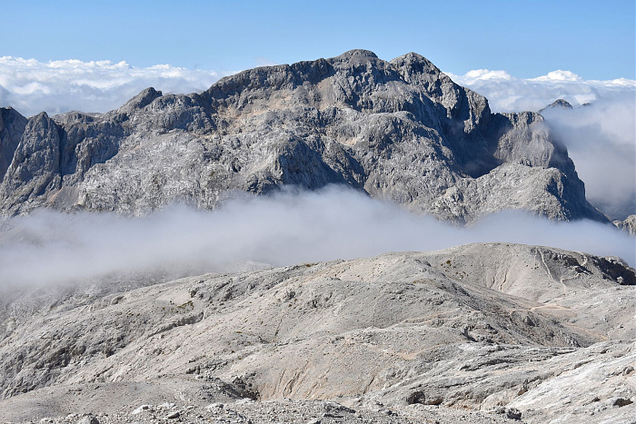 Klicke auf die Grafik für eine vergrößerte Ansicht

Name: DSC_0402.jpg
Ansichten: 0
Größe: 911,3 KB
ID: 3361130