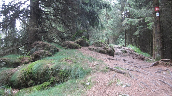 Klicke auf die Grafik für eine vergrößerte Ansicht

Name: IMG_4022.jpg
Ansichten: 31
Größe: 160,3 KB
ID: 3361141