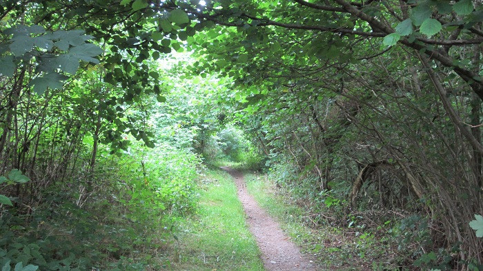 Klicke auf die Grafik für eine vergrößerte Ansicht

Name: IMG_40331.jpg
Ansichten: 31
Größe: 175,0 KB
ID: 3361142