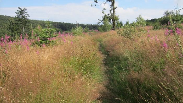 Klicke auf die Grafik für eine vergrößerte Ansicht

Name: IMG_4035.jpg
Ansichten: 31
Größe: 142,1 KB
ID: 3361143