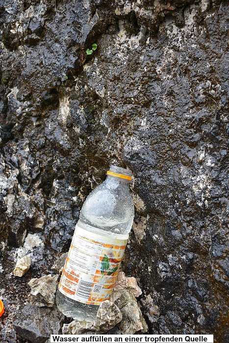 Klicke auf die Grafik für eine vergrößerte Ansicht

Name: DSC_0418.jpg
Ansichten: 0
Größe: 857,7 KB
ID: 3361152