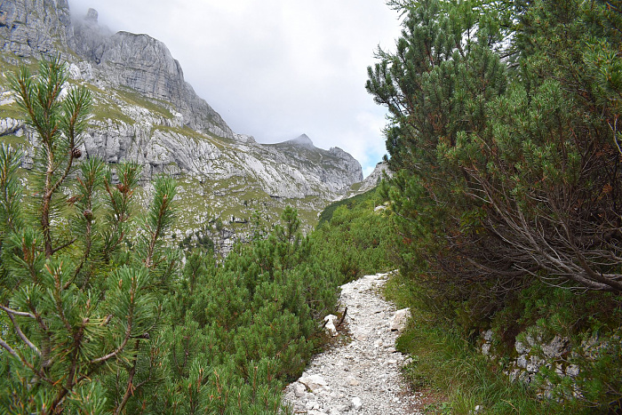 Klicke auf die Grafik für eine vergrößerte Ansicht

Name: DSC_0429.jpg
Ansichten: 0
Größe: 1,11 MB
ID: 3361160