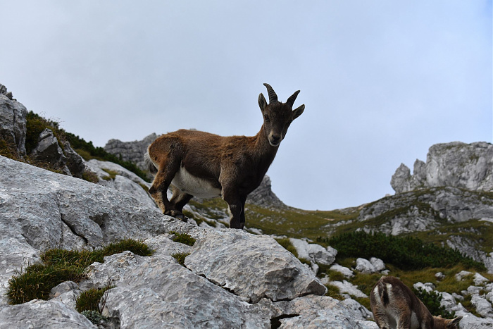 Klicke auf die Grafik für eine vergrößerte Ansicht

Name: DSC_0441.jpg
Ansichten: 0
Größe: 545,3 KB
ID: 3361163