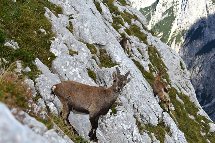 Klicke auf die Grafik für eine vergrößerte Ansicht

Name: DSC_0443.jpg
Ansichten: 0
Größe: 815,2 KB
ID: 3361164