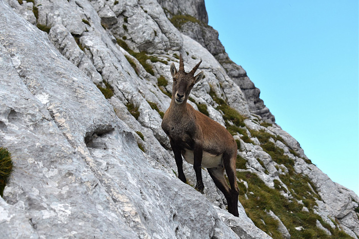 Klicke auf die Grafik für eine vergrößerte Ansicht

Name: DSC_0442.jpg
Ansichten: 0
Größe: 681,3 KB
ID: 3361165