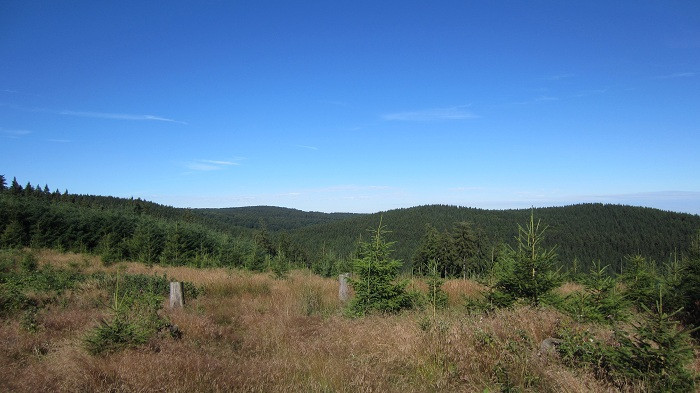 Klicke auf die Grafik für eine vergrößerte Ansicht

Name: IMG_40461.jpg
Ansichten: 29
Größe: 89,2 KB
ID: 3361147