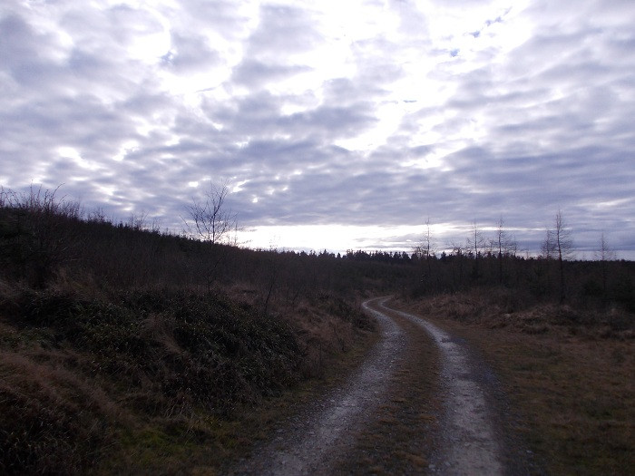 Klicke auf die Grafik für eine vergrößerte Ansicht  Name: DSCN7454.jpg Ansichten: 0 Größe: 97,2 KB ID: 3361174