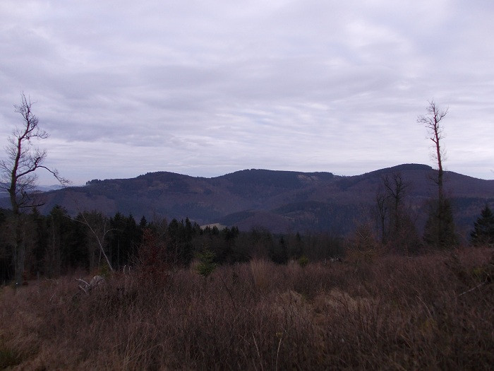 Klicke auf die Grafik für eine vergrößerte Ansicht  Name: DSCN7459.jpg Ansichten: 0 Größe: 85,4 KB ID: 3361175