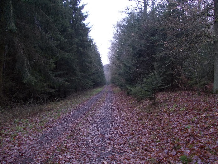 Klicke auf die Grafik für eine vergrößerte Ansicht

Name: DSCN7481.jpg
Ansichten: 31
Größe: 176,3 KB
ID: 3361181