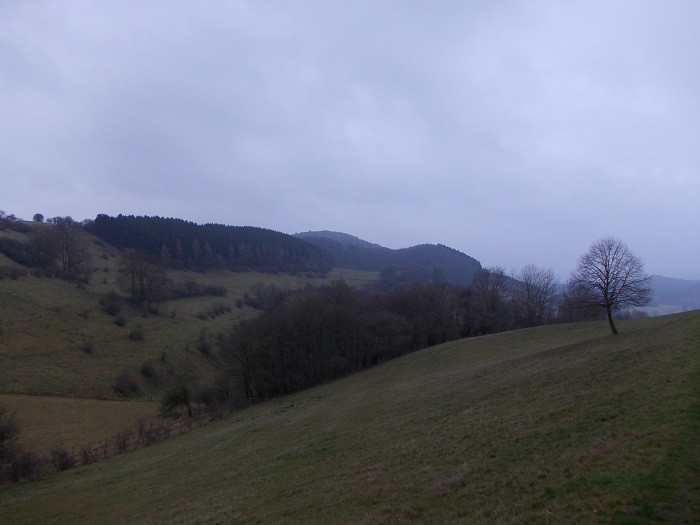 Klicke auf die Grafik für eine vergrößerte Ansicht

Name: DSCN7495.jpg
Ansichten: 29
Größe: 71,3 KB
ID: 3361183