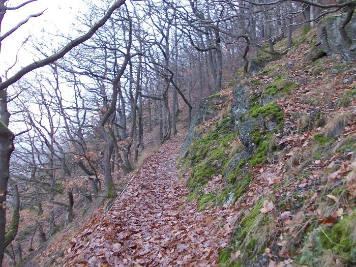 Klicke auf die Grafik für eine vergrößerte Ansicht

Name: DSCN7511.jpg
Ansichten: 30
Größe: 243,2 KB
ID: 3361184