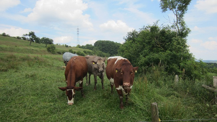 Klicke auf die Grafik für eine vergrößerte Ansicht

Name: IMG_5054.jpg
Ansichten: 24
Größe: 114,6 KB
ID: 3361283