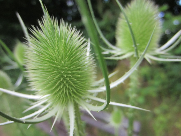 Klicke auf die Grafik für eine vergrößerte Ansicht

Name: IMG_50642.jpg
Ansichten: 22
Größe: 100,7 KB
ID: 3361284